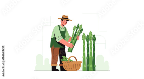 Farmer Harvesting Asparagus in a Field into a Basket on a Sunny Day