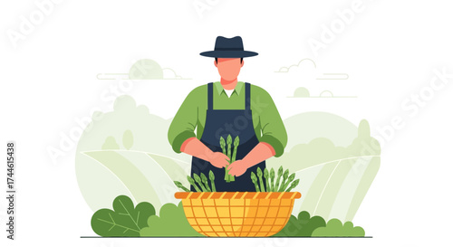 Farmer Harvesting Asparagus in Field, Illustrating Agriculture and Fresh Produce Concept