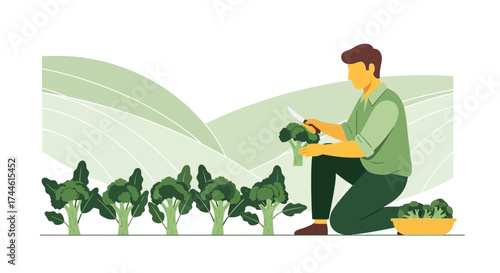 Farmer Harvesting Broccoli in a Field: Illustrated Scene of Agriculture and Food Production