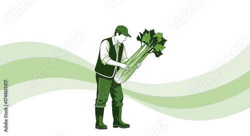 Farmer Harvesting Celery with Fresh, Green Leaves and Stalks on the Field