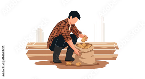 Farmer Harvesting Crop And Placing Potatoes In Sack For Collection And Storage
