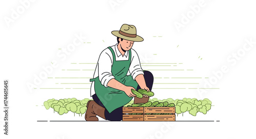 Farmer Harvesting Cucumbers, Fresh Produce, Agricultural Work, Farm Illustration, Summer Harvest