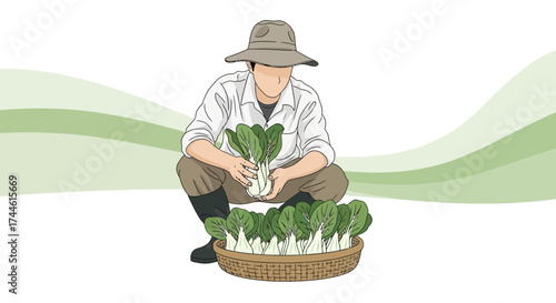 Farmer Harvesting Fresh Bok Choy From His Garden, An Agriculture Illustration