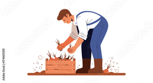 Farmer Harvesting Fresh Onions From The Garden and Placing Them in a Wooden Crate