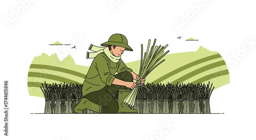 Farmer Harvesting Fresh Produce In The Green Agricultural Field In Rural Region