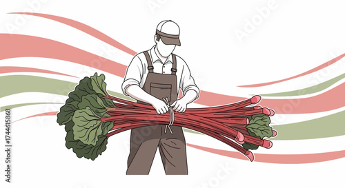 Farmer Harvesting Fresh Red Rhubarb Bunch, Cartoon Illustration, From the Garden on White Background