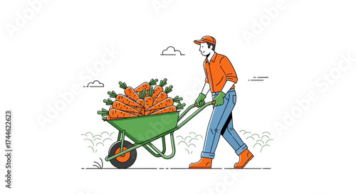 Farmer Transporting Harvested Carrots In A Wheelbarrow Across Green Fields