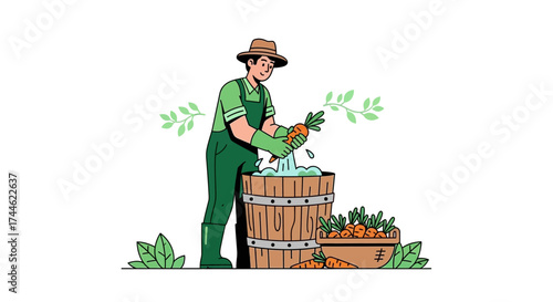 Farmer Washing Fresh Carrots Near Wooden Barrel and Vegetable Baskets