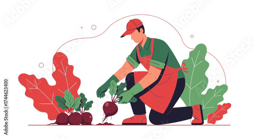 Gardener Harvesting Fresh Beets: A Colorful Illustration of Organic Vegetable Farming