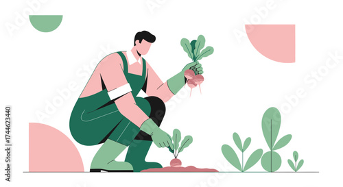 Gardener Harvesting Fresh Root Vegetables From The Garden, Vector Illustration