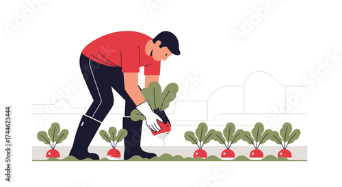 Gardener Harvesting Fresh Radishes in a Colorful Vegetable Garden Illustration