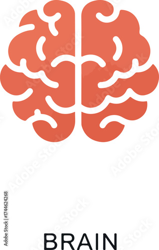 Brain illustration representing cognitive functions and mental processes for learning.