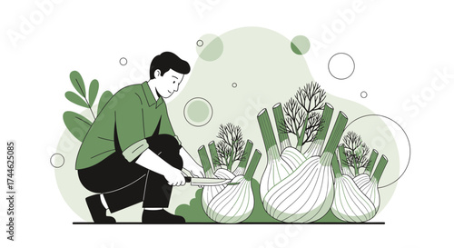 Gardener Harvesting Fennel With Sharp Blade From Green Garden Beautiful Illustration
