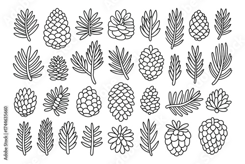 Black and white line art illustration of pine cones and pine needles vector graphics vector