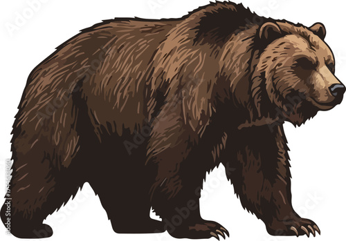 Majestic brown bear walking confidently across the open terrain.