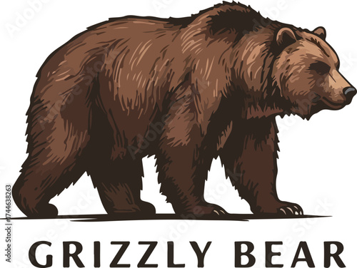 Majestic Grizzly Bear in Profile A Detailed Illustration of the Wild Animal.