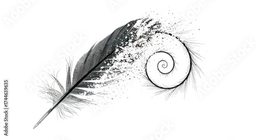 Adobe Illustrator Artwork