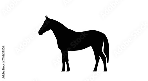 Silhouette of a majestic horse standing proudly against a white background.