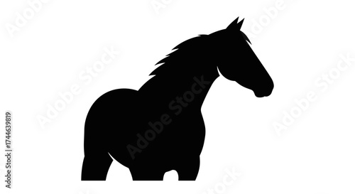 Silhouette of a majestic horse against a white background.