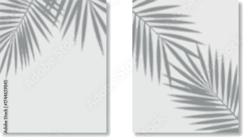 Palm leaf shadows on white background create aesthetic minimalist design.