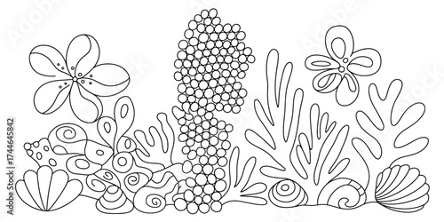 Scalable vector line art illustration of underwater coral reef flora and fauna elements vector