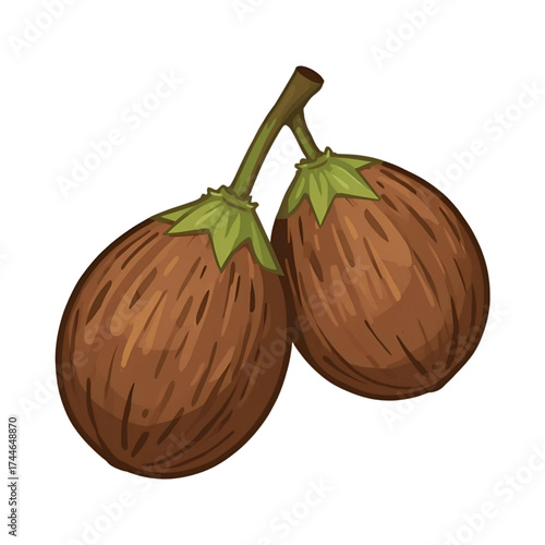 Brazil nut