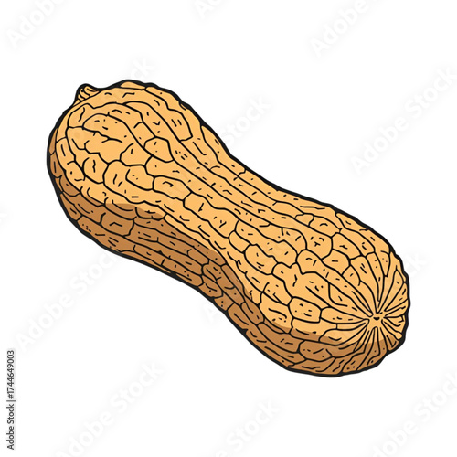 Peanut