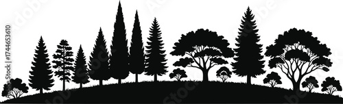 Diverse trees flourishing on a gentle hillside landscape