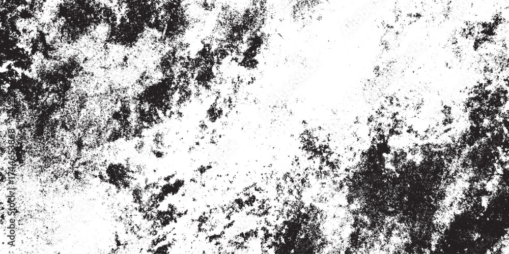 Fototapeta premium Black and White Grunge Texture Background Abstract Vector
