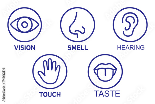 Human senses icon set. Vision eye, smell nose, hearing ear, touch hand, taste mouth with tongue. Simple line icons in circle. Five senses of human nervous system. set of five senses icon