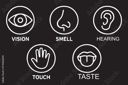 Human senses icon set. Vision eye, smell nose, hearing ear, touch hand, taste mouth with tongue. Simple line icons in circle. Five senses of human nervous system. set of five senses icon