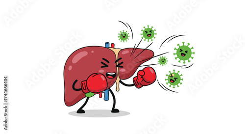 Understanding how the liver fights off harmful pathogens and maintains overall body health.