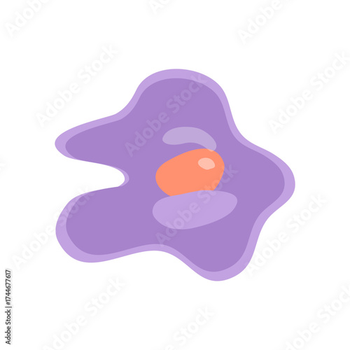 Fibroblast Vector Illustration. Vector illustration depicting human immune cells, including macrophages and mast cells, showcasing the biology of the immune system and monocyte types in immunology