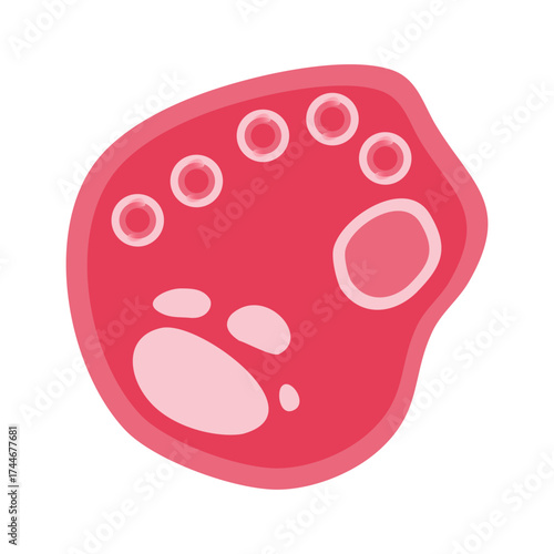 Chlamydia Trachomatis Vector Illustration. Vector illustration depicting human immune cells, including macrophages and mast cells, showcasing the biology of the immune system and monocyte types in imm