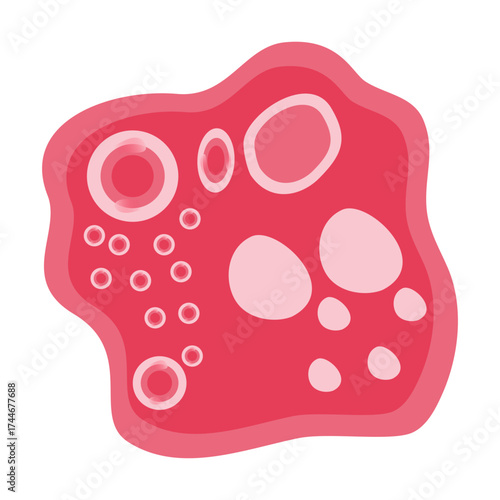 Chlamydia Trachomatis Vector Illustration. Vector illustration depicting human immune cells, including macrophages and mast cells, showcasing the biology of the immune system and monocyte types in imm
