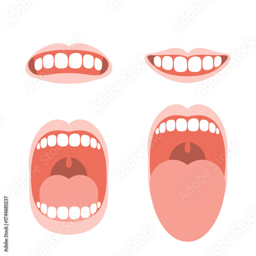 いろいろな口のセット