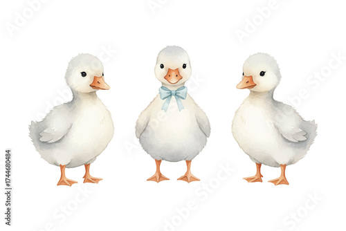 soft pastel charming watercolor geese illustration