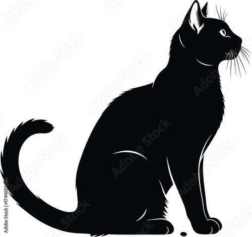 Black cat silhouette, sitting feline, curled tail, whiskers visible, pet animal, vector illustration, isolated graphic, Halloween theme, elegant pose, minimal design