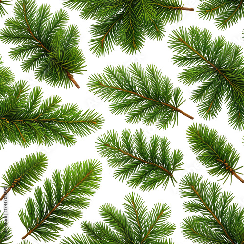 Dense, vibrant green pine branches scattered over a black background