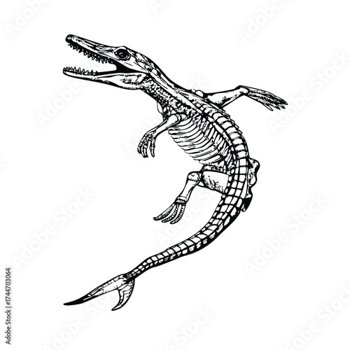 Detailed Anatomical Illustration of a Mosasaurus