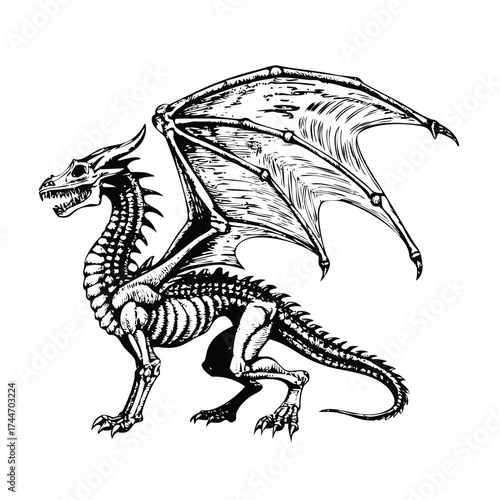 Monochrome Mythical Creature Anatomy: Dragon Skeleton

