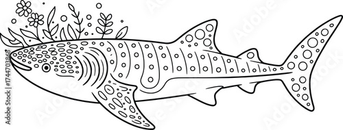 Whale shark undersea outline drawing ocean marine life sea creature nature drawing