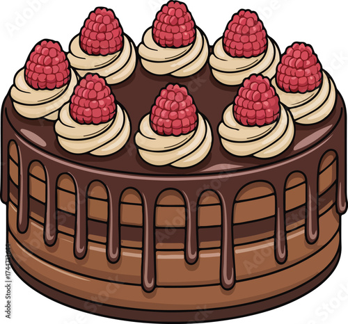 Chocolate raspberry cake with creamy swirls and drizzled chocolate