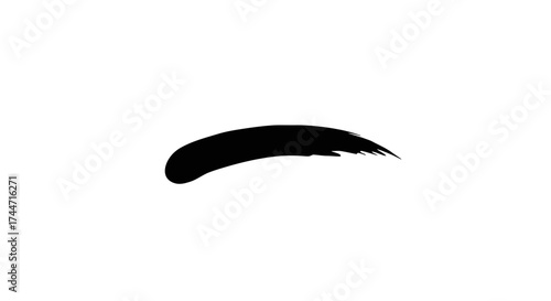 Abstract curved black brushstroke element isolated against a blank white canvas providing visual