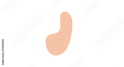 Minimalist skin tone blob shape presenting an abstract and clean design aesthetic