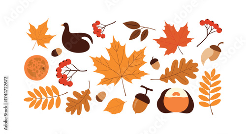 A colorful collection of autumnal elements including leaves acorns and berries.