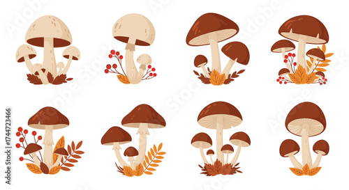A collection of eight beautifully rendered illustrations of various mushrooms with autumnal foliage and berries adorning their bases.