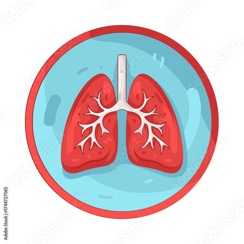 Illustration of Human Lungs Anatomy