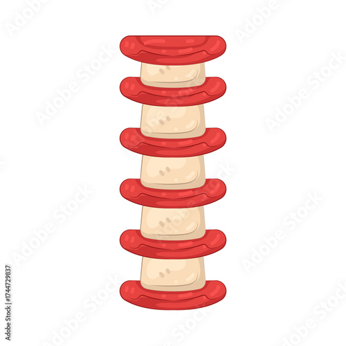 Illustration of Human Spine Bone 
