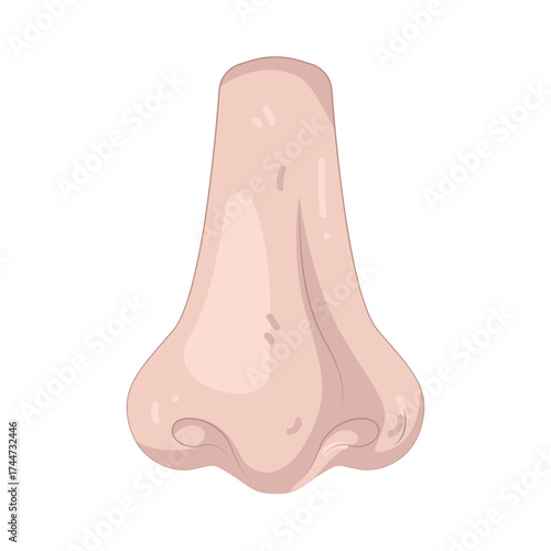 Illustration of Human Nose Organ
